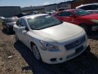 NISSAN - MAXIMA