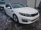 KIA - OPTIMA