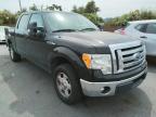 FORD - F-150