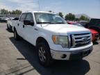 FORD - F-150