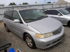 HONDA - ODYSSEY