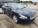 NISSAN - MAXIMA