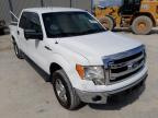 FORD - F-150