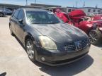 NISSAN - MAXIMA