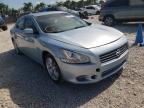 NISSAN - MAXIMA