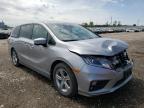 HONDA - ODYSSEY