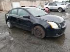 NISSAN - SENTRA