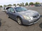 NISSAN - MAXIMA