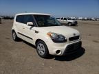 KIA - SOUL