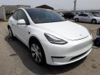 TESLA - MODEL Y