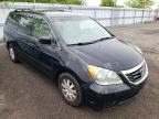 HONDA - ODYSSEY