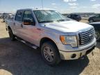 FORD - F-150