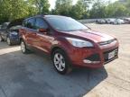 FORD - ESCAPE