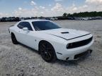 DODGE - CHALLENGER