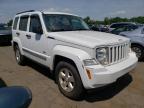 JEEP - LIBERTY