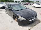 NISSAN - MAXIMA