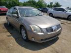 NISSAN - MAXIMA