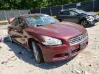 NISSAN - MAXIMA