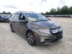 HONDA - ODYSSEY