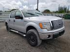 FORD - F-150