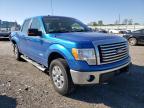 FORD - F-150