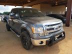 FORD - F-150