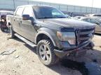 FORD - F-150