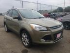 FORD - ESCAPE