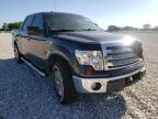 FORD - F-150