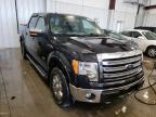 FORD - F-150
