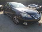 LEXUS - ES350