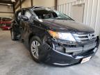 HONDA - ODYSSEY