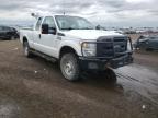 FORD - F250