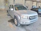 HONDA - RIDGELINE