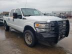 FORD - F250