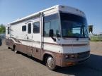 usados WINNEBAGO ADVENTURER