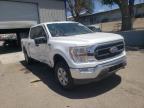 FORD - F-150