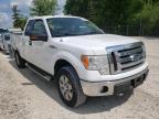 FORD - F-150