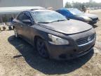 NISSAN - MAXIMA
