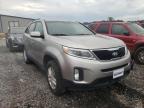 KIA - SORENTO