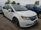 HONDA - ODYSSEY