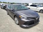 TOYOTA - CAMRY