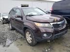 KIA - SORENTO