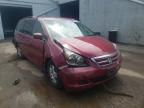 HONDA - ODYSSEY