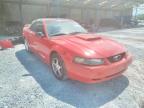 FORD - MUSTANG
