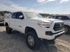 TOYOTA - TACOMA