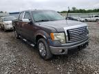 FORD - F-150