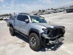 TOYOTA - TACOMA