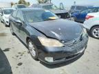 LEXUS - ES350