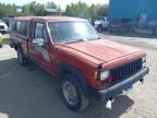 JEEP - COMANCHE